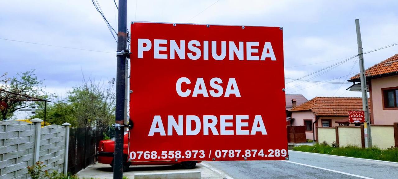 Pensiunea Casa Andreea Novaci-Străini Eksteriør bilde